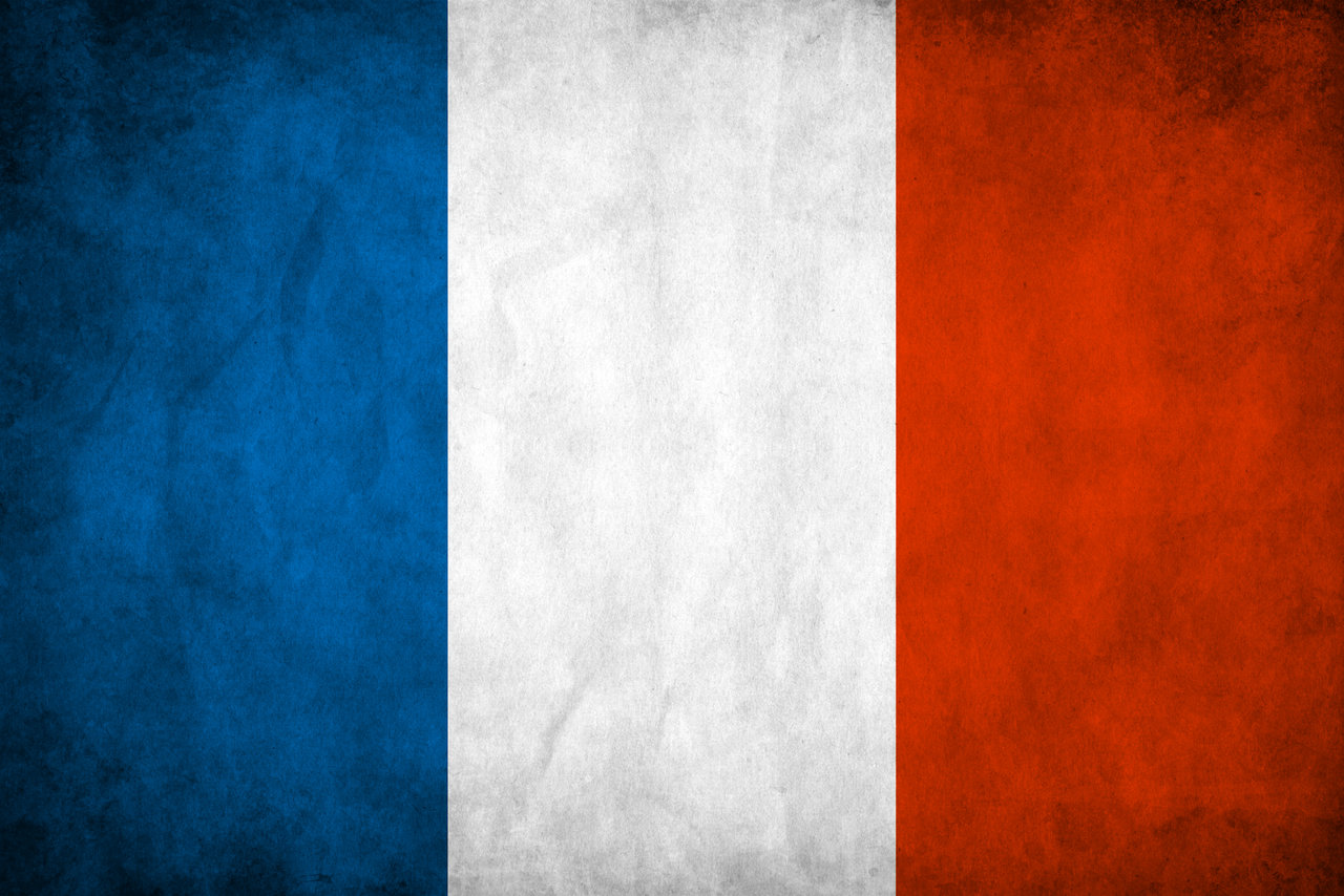 My French Studies