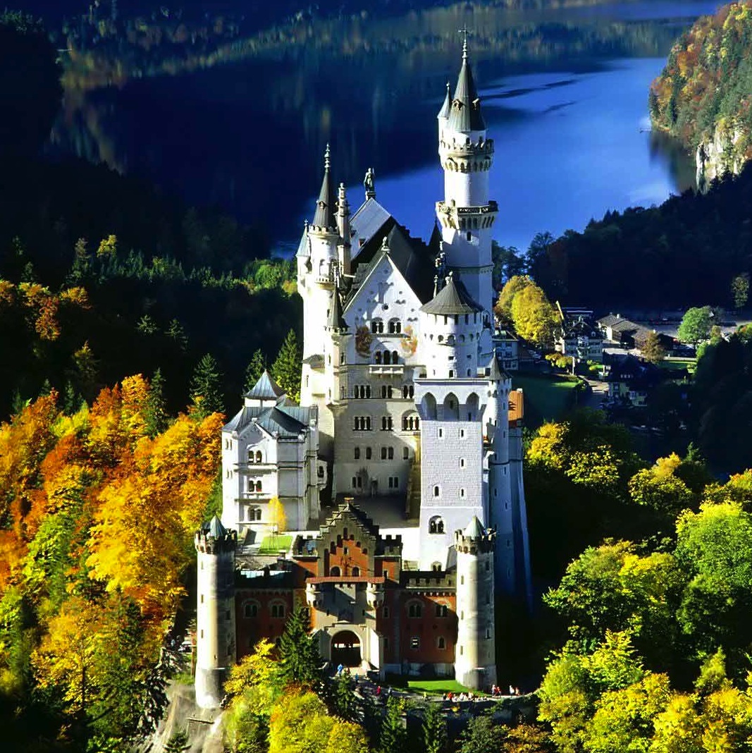 Learn Basic German