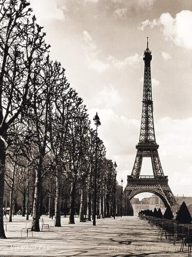 Advanced French Vocab and Topics