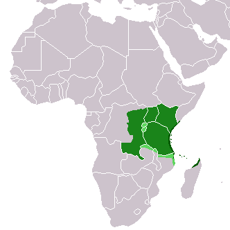 Swahili