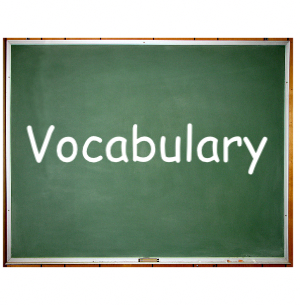 Student Vocab