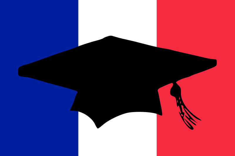 Expert / University level French