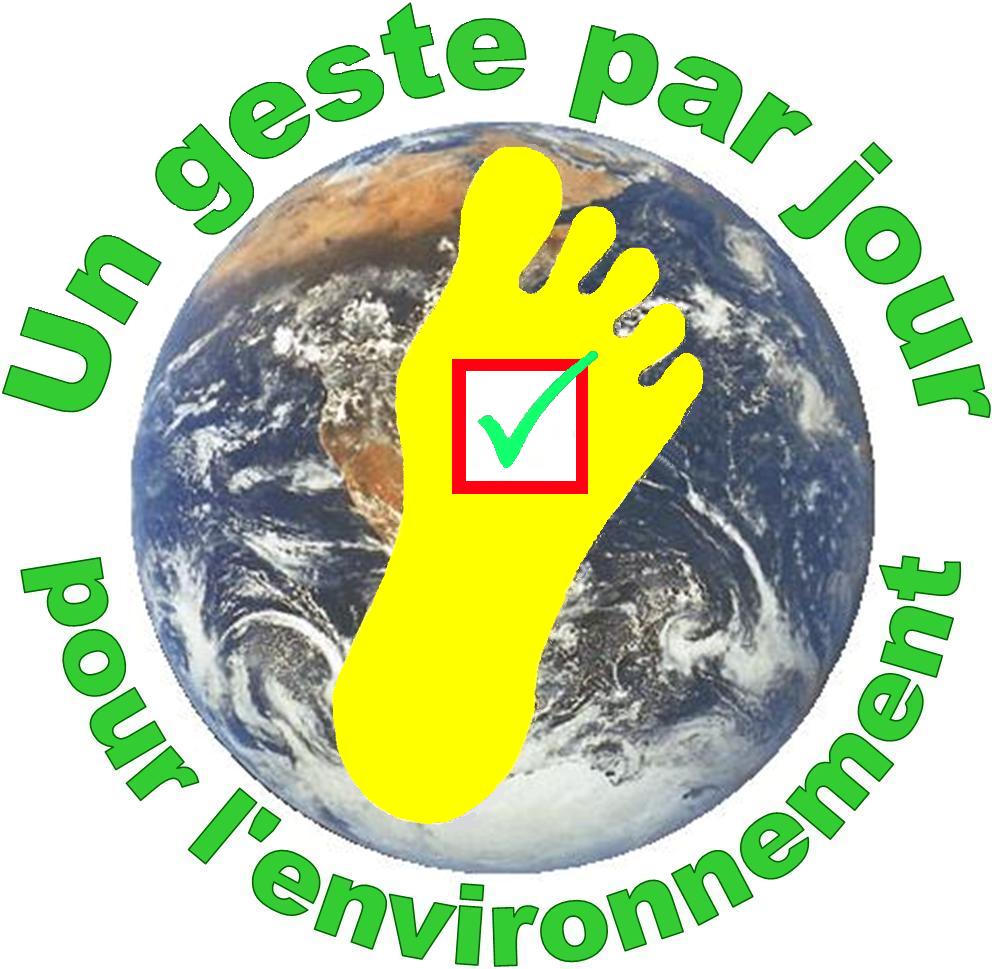 AS French - Environment