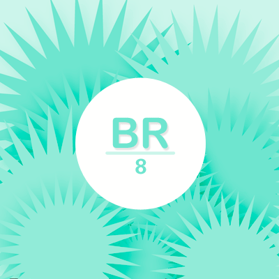 Baza Radikaro Grupo 8