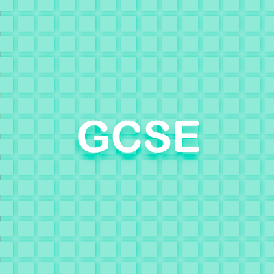 GCSE French Vocabulary