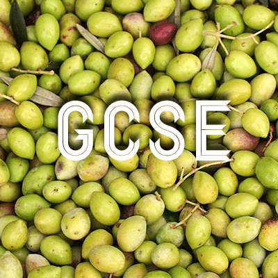 Greek GCSE: High-Frequency Language