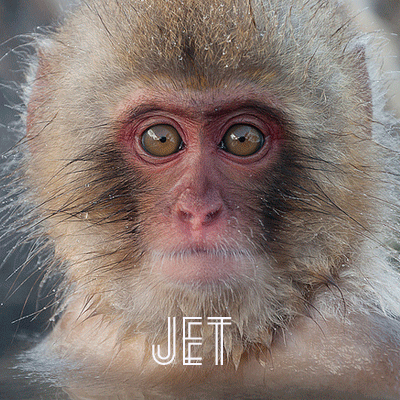JET Programme Beginner Course Vocabulary