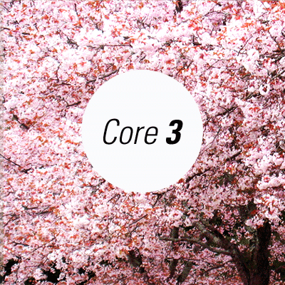 Core 1000 (part 3)