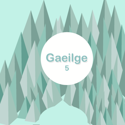 Learning Irish Lesson 5 Vocabulary