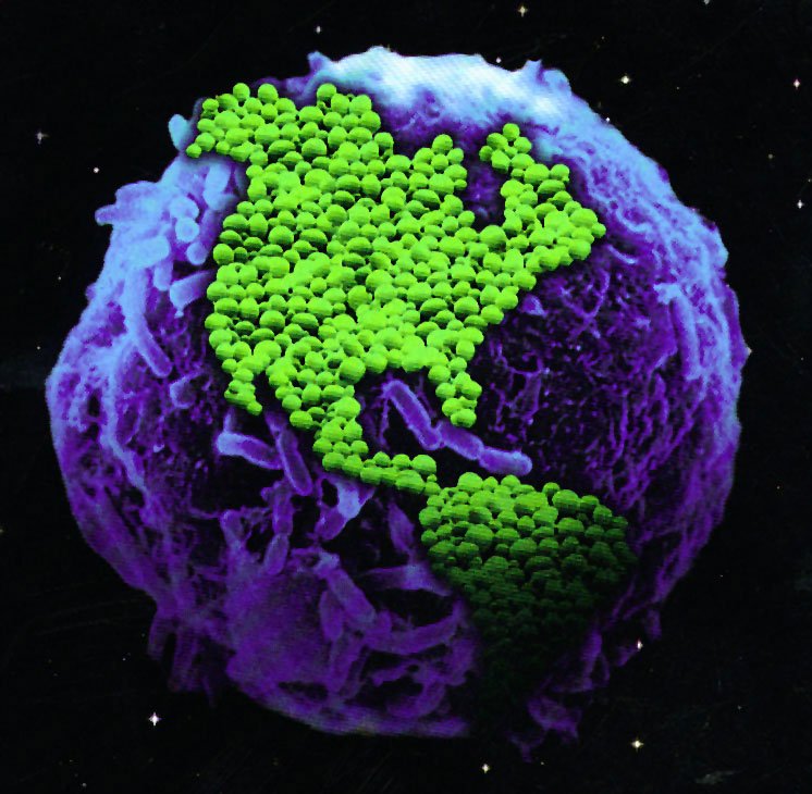Microbiology overview