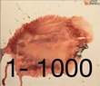 Chinese words by spoken frequency 0 - 1000