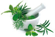 Plantes médicinales