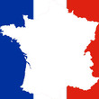 Advanced French politics