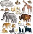 Animals