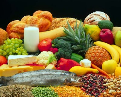 Begginer French: Food