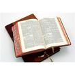 Bible - Mandarin Characters - NT