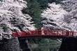 日本語の語彙　Vocabolario di Giapponese