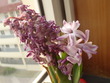 Chinese Class Words