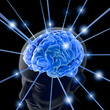 Cognitive Psychology
