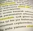 Common Verbs in Turkish