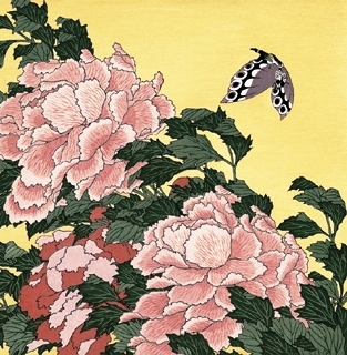 Bugs and Birds
