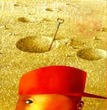 Holes by Louis Sachar Chapters 7-12