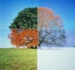 Months and Seasons