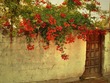 Learn Turkish Grammar - Phraselist