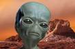 Martian Basics