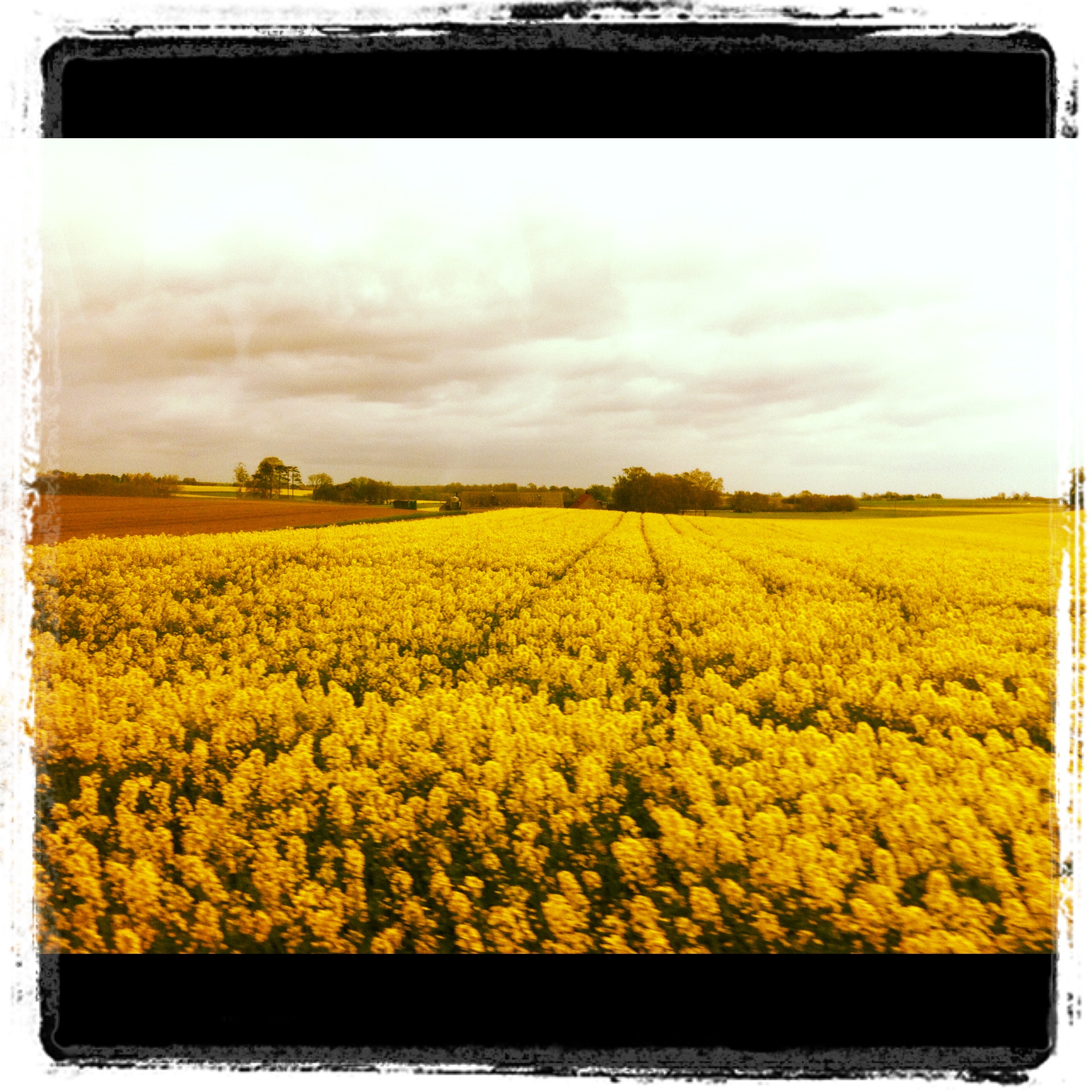 ...my swedish journey...