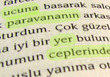 Common Nouns in Turkish
