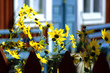 Swedish Word List With Pronunciation & Sample Sent