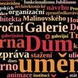 the 1st 1000 most common czech words