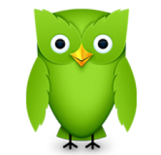 Duolingo German vocab