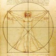 Body Parts in French