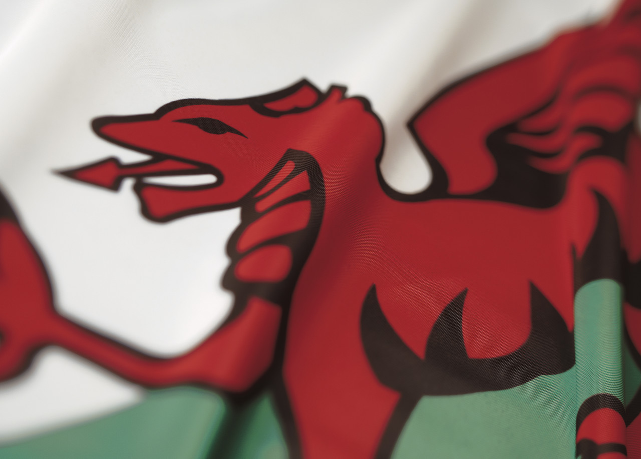 Welsh Vocab