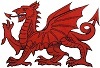 Welsh in the Wild 2